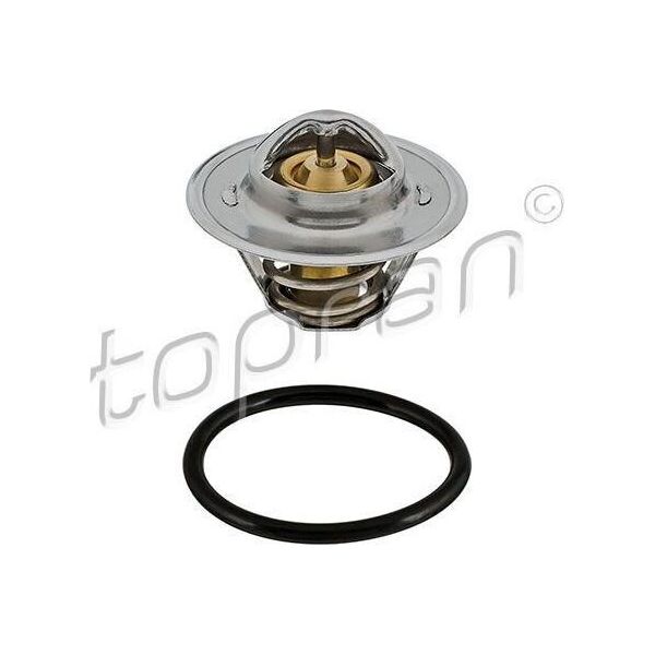 Topran 113 851 - Termostato Acqua Di Raffreddamento Per A4 (8K), A5 (8T), A6 (4F), Q5 (8R), Exeo (3R)-image