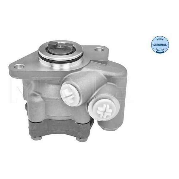 Meyle 214 631 0002 - Servo Pompa Oe 4007 Sf Per Jumper, Ducato, Boxer-image