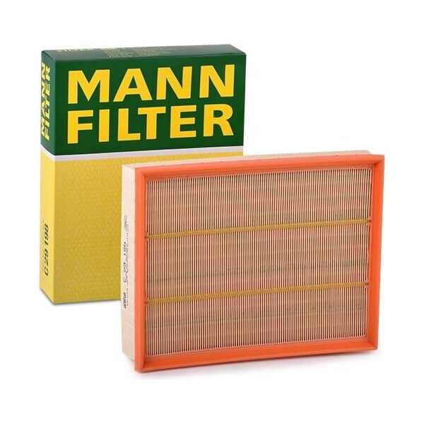 MANN-FILTER C 29 198 - Oe 074 129 620 Filtro Aria Per T4-image