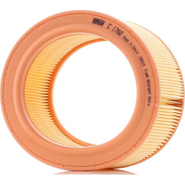 MANN-FILTRO C 1760 - Oe 1444 F5 Filtro Aria Per Zx (N2), 306-image