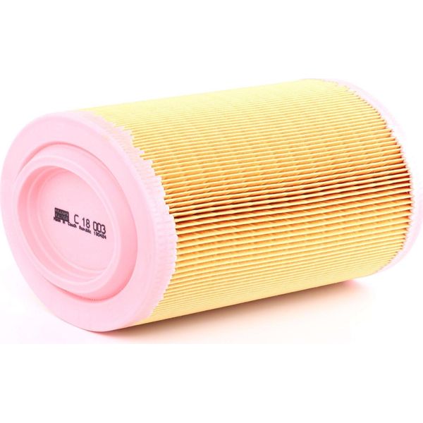 MANN-FILTER C 18 003 - Filtro Aria Oe 55183562 Per Spider (939), 159 (939), Brera (939)-image