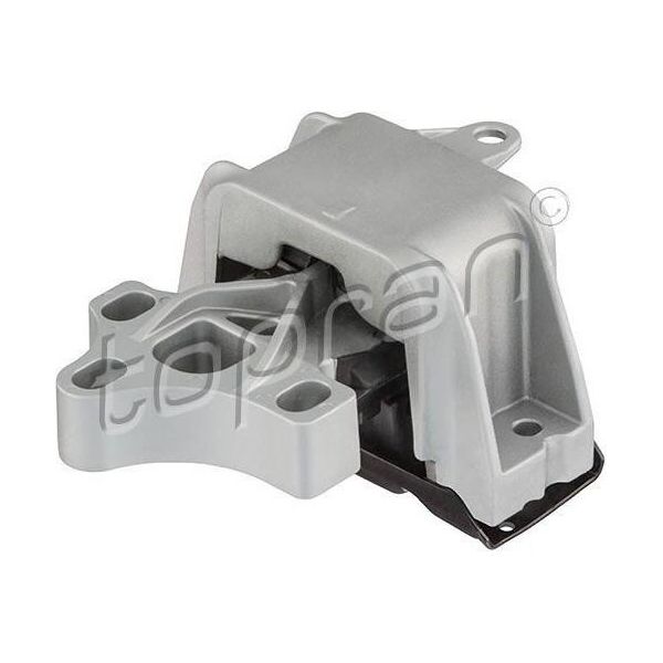 Topran 114 405 - Cuscinetto, Cambio Automatico Per A3 (8L), Golf Iv (1J), Bora (1J)-image