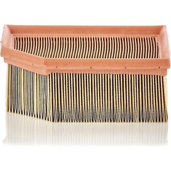 MANN-FILTER C 1995 - Oe 1444 Sw Filtro Aria Per Berlingo, Partner (5, G)-image