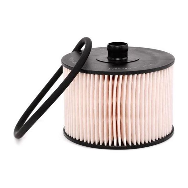 Mann-Filterpoliuretano1018 X Filtro Carburante Oe 190690 Compatibile Con V50, S40, C70, C30, Expert, 807, 607, 508, 407, 308, 307, Phedra, S-Max, Kuga, Galaxy, Focus, C-Max, Ulysse, Scudo, Jumpy, C8, C5, C4, C4Er-image