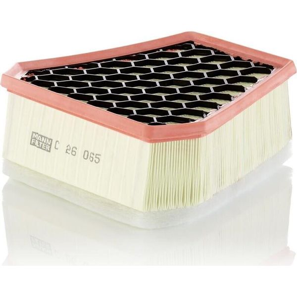 MANN-FILTER C 26 065 - Filtro Aria Oe 1395975080 Per Ducato-image