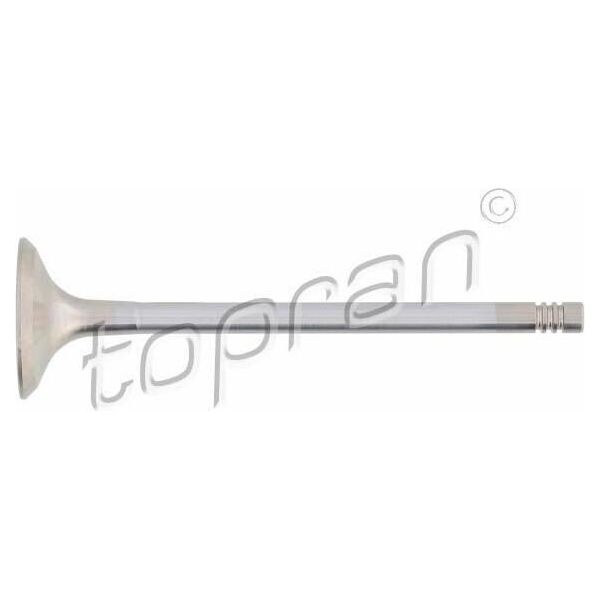 Topran 500 722 - Oe 1134 1 739 821 Valvola Di Scarico Per Serie 3 (E36), Serie 3 (E46), Serie 5 (E39), Serie 5 (E60), Serie 5 (E61), Serie 7 (E38), Serie 7 (E65), X3 (E83), X5 (E53), Z3 (E36), Z4 (E85)-image