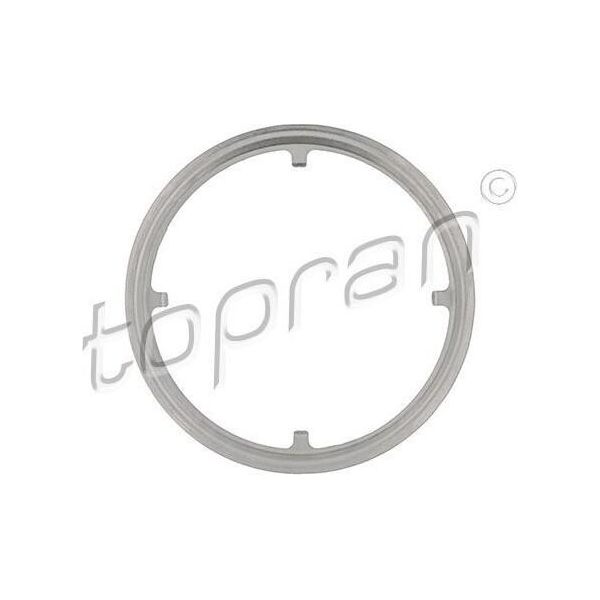 Topran 305 234 - Oe 1 935 518 Guarnizione, Tubo Di Scarico Per Transit Custom, Transit V363-image