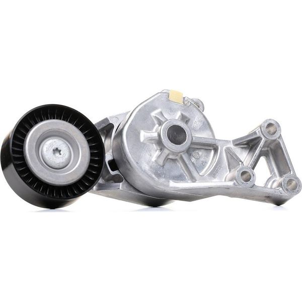 Skf Vkm 31019 Tendicinghia, Cinghia Trapezoidale Dentata Oe 038903315AE Compatibile Con Transporter V, A3 8L, Galaxy, Alhambra, Leon, Toledo, Octavia, Bora, Golf Iv, Multivan V, New Beetle, Sharan-image