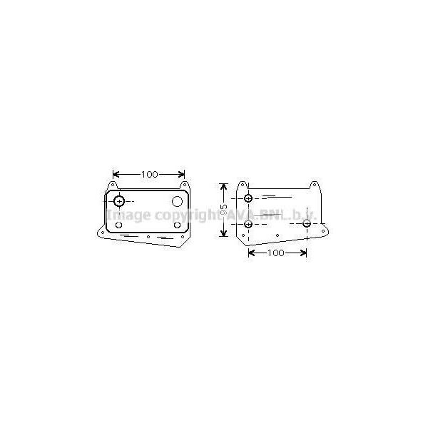 Prasco MS3376 - Radiatore Olio Oe 6111880301 Per Classe C (W203), Classe C (W204), Classe C (CL203), Classe C (S203), Classe C (S204), Classe Clc (CL203), Clk (C209), Classe E (W210), Classe E (W211), Classe E (VF211), Classe E (S210), Classe E (S211), Classe G (W461), Sprinter (W901, W902), Sprinter (W906), Sprinter (W903), Sprinter (W904), Sprinter (W905), Sprinter (W909), Classe V (638/2), Vian-image