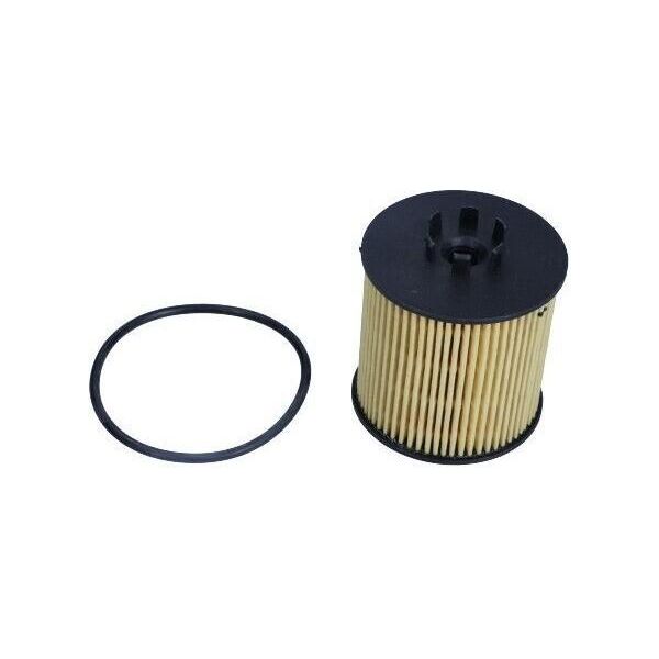 Maxgear 26-0314 - Filtro Per A3 (8P), Altea (5P), Cordoba (6L), Ibiza (6L), Ibiza (6J, 6P), Leon (1P1), Toledo Iii (5P2), Fabia Ii (54), Octavia Ii (1Z), Roomster (5J), Superb Ii (3T), Eos (1F), Golf Plus (5M), Golf V (1K), Jetta Iii (1K2), Passat (3C), Polo (9N), Tiguan (5N), Touran (1T)-image