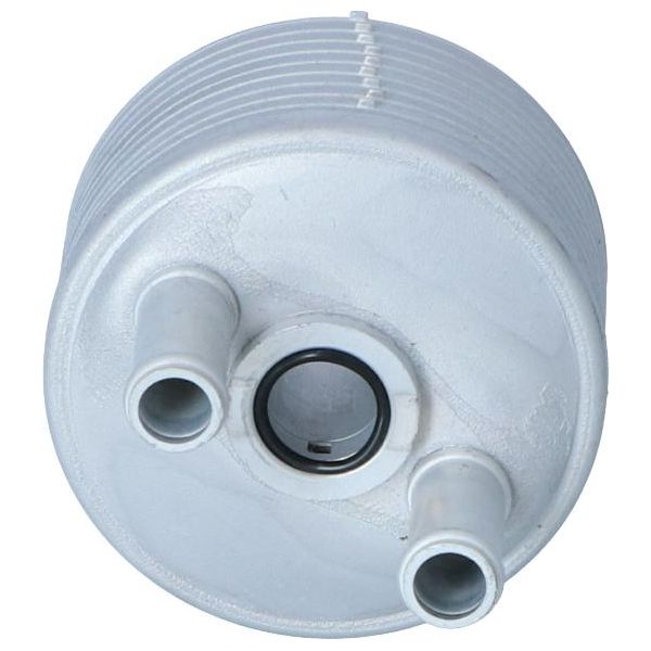 Nrf 31214 - Radiatore Olio Oe 09G409061 Per A3 (8P), Tt (8N), Altea (5P), Leon (1P1), Toledo Iii (5P2), Octavia Ii (1Z), Golf Plus (5M), Golf V (1K), Jetta Iii (1K2), Jetta Iv, Passat (3C), Touran (1T)-image