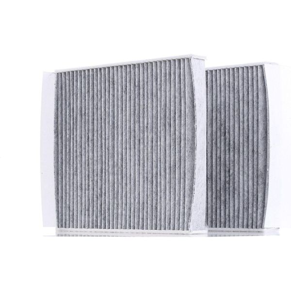 Champion CCF0422C - Filtro Aria Abitacolo Oe 64 11 9 163 329 Per Serie 5 (F11), Serie 6 (F13), Serie 5 (F10), Serie 5 Gt (F07), Serie 6 (F12), Serie 6 (F06), Serie 7 (F01)-image