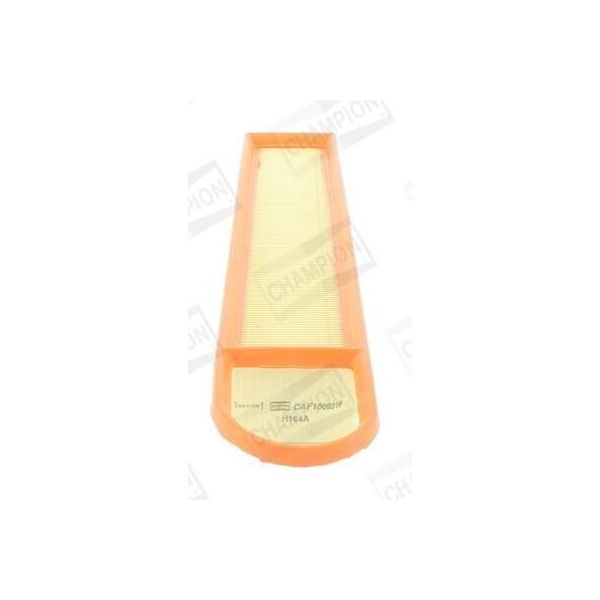 Champion CAF100921P - Oe 13 71 7 534 825 Filtro Aria Per DS3, DS4, Berlingo, C3 Ii (Sc), C3 Picasso (Sh), C4 (La), C4 G-Picasso I (Ua), C4 G-Picasso Ii (Da, De), C4 I (Lc), C4 Ii (Nc), C4 Picasso I (Ud), C4 Picasso Ii, C5 Iii (Rd), C5 Iii (Rw), R56, R57, R55, R60, R58, R61, R59, 308 I, 308 Sw I, 5008 I, 508 (8D), 2008 I (Cu), 207 (Wa, Wc), 207 Cc (Wd), 207 Sw (Wk), 208 I (Ca, Cc), 3008 (0U), 308 C-image