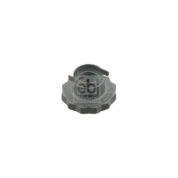 Febi Bilstein 30028 - Dado Oe 6Q0 407 395, Semiasse Per A1 (8X), A1 (Gb), A2 (8Z), Arona (Kj), Cordoba (6L), Ibiza (6L), Ibiza (6J, 6P), Ibiza (Kj), Toledo Iv (KG3), Fabia I (6Y), Fabia Ii (54), Kamiq (NW4), Rapid (Nh), Roomster (5J), Scala (NW1), Fox (5Z), Polo (9N), Polo (6C, 6R), Polo (AE1, AW1, BZ1), T-Cross (C11, D31)-image