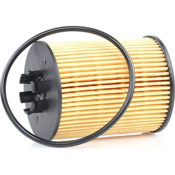 Champion COF100519E - Filtro Olio Oe 90530 260 Per Agila A, Astra G, Astra H, Astra (A04), Combo, Combo Tour, Corsa C (X01), Corsa D (S07), Meriva (X03), Tigra Twintop (X04)-image