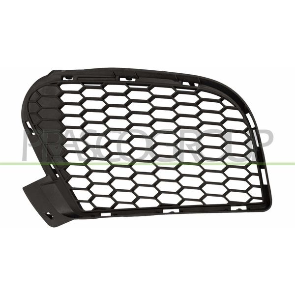 Prasco BM8252124 - Griglia Di Ventilazione Oe 51117205577, Sinistra Per X5 (E70)-image