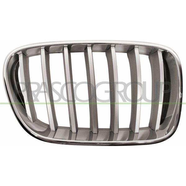 Prasco BM8042013 - Griglia Radiatore Oe 51117237422, Destra Per X3 (F25)-image