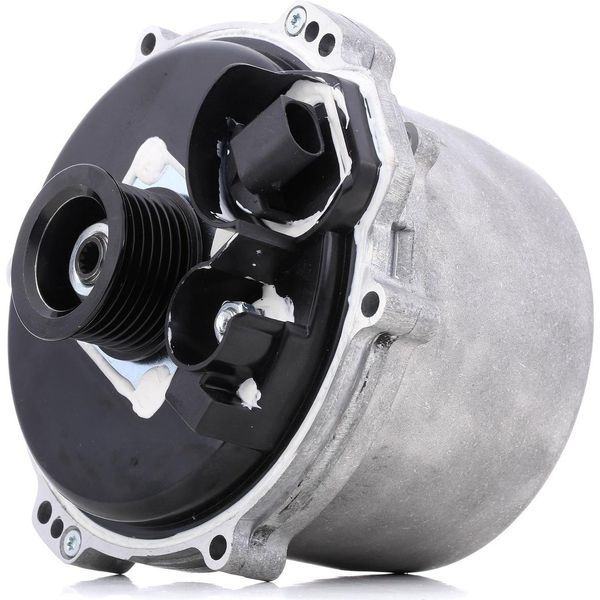 Ridex 4G0137 - Lampada Oe 1 705 483 Per 5Er (E39), 7Er (E38), X5 (E53), Range Rover Iii (L322)-image