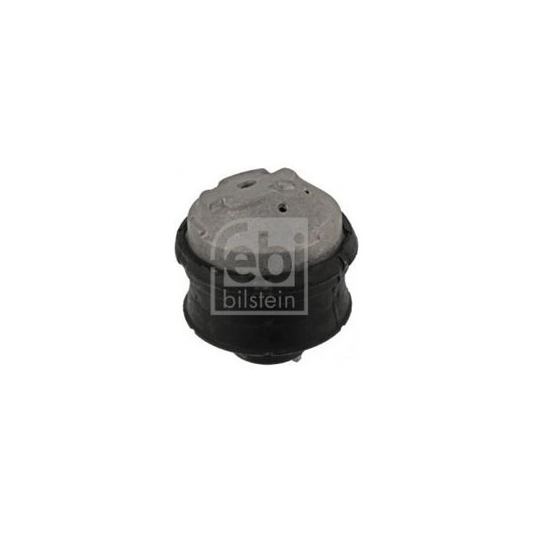 Febi Bilstein 10120 - Oe 202 240 46 17 Supporto Motore Per Classe C (W203), Classe C (CL203), Classe C (S202), Classe C (S203), Classe Clc (CL203), Classe E (W210), Classe E (S210)-image