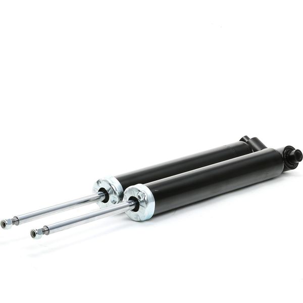 Ridex 854S1959 - Ammortizzatore Oe 33526791570 Per Serie 1 (F20), Serie 1 (F21), Serie 2 (F23), Serie 2 (F22, F87), Serie 3 (F30), Serie 3 Gt (F34), Serie 3 (F31), Serie 4 (F33), Serie 4 (F32, F82), Serie 4 (F36)-image
