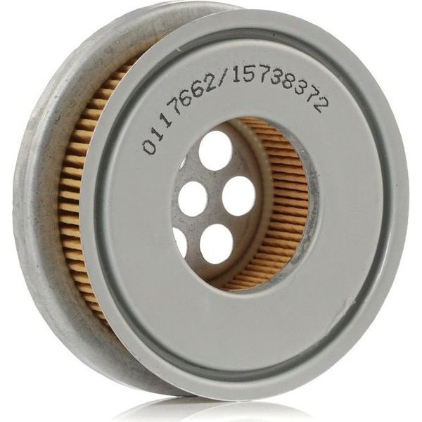 Stark SKHFS-3260003 - Oe 466 05 38 Filtro Idraulico, Sterzo Per Serie 3 (E36), Vito (W639), Cabriolet (A124), Classe C (W202), Classe C (S202), Clk (C208), Clk (A208), Classe E (W124), Classe E (A124), Classe E (C124), Classe E (S124), Classe G (W461), Classe G (W463), Classe S (W140), Classe S (C140), Sl (R129), Megane Cc-image