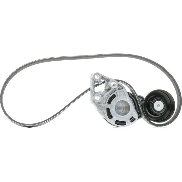Skf Vkma 31036 - Oe 045 903 137 D Kit Di Ricambio Per A2 (8Z), Cordoba (6L), Ibiza (6L), Fabia I (6Y), Fabia Ii (54), Roomster (5J), Fox (5Z), Lupo (6E1, 6X1), Polo (9N)-image
