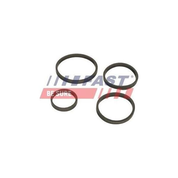Fast FT48949 - Guarnizione Oe 11427527409, Radiatore Olio Per Jumpy (VF7), Scudo, Expert (Vf), Expert Tepee (VF3X)-image