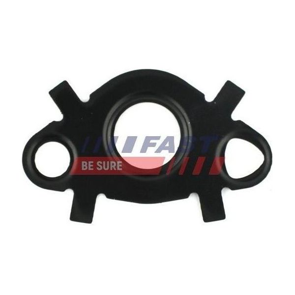 Fast FT49547 - Guarnizione Oe 1104 48, Radiatore Olio Per Jumper, Ducato, Boxer-image