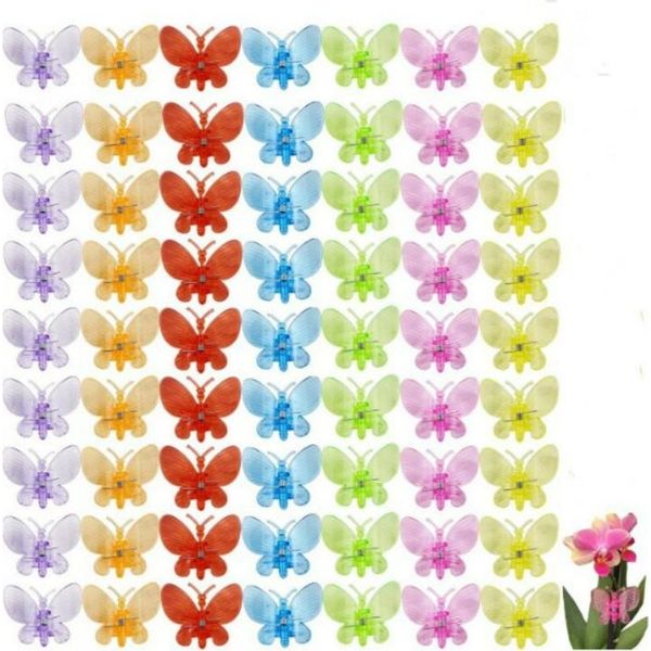 Inf 100 Pezzi Clip Per Orchidee, Clip Di Supporto Per Piante Per Orchidee, Clip Di Plastica Colorate Per Piante Rampicanti-image
