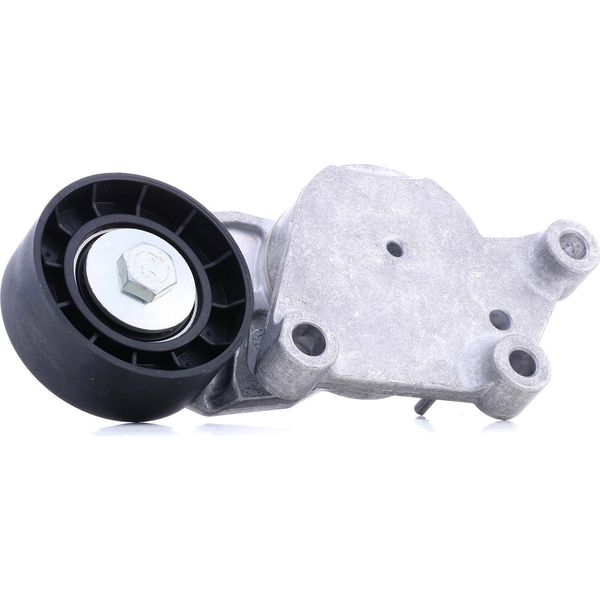 Snr GA359.00 - Oe 5751 86 Spannrolle, Keilrippenriemen Per C1 (Pm, Pn), C2 (Jm), C3 I (Fc, Fn), C3 Pluriel (Hb), C4 (La), C4 I (Lc), C-Max, Fiesta V, Fiesta Vi, Focus C-Max (DM2), Focus Ii, Fusion, 2 (De, Dh), 3 (Bk), 3 (Bl), 1007 (Km), 206 Cc (2D), 206 (2A/C), 206 Sw (2E/K), 307, 307 Sw (3H), Aygo (B1), C30 (533), S40 Ii (544), S80 Ii (124), V50 (545), V70 Iii (135)-image