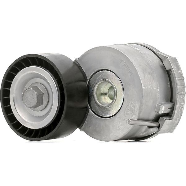 Skf Vkm 33205 Rullo Tenditore, Cinghia Trapezoidale Dentata Oe 1611425780 Compatibile Con C4, C5, C8, DS4, DS5, Jumpy, Spacetourer, Scudo, C-Max, Focus, Galaxy, Kuga, Mondeo, S-Max, Zafira, 3008, 308, 407, 5008, 508, 807, Expert, Rcz, Traveller, Proace-image