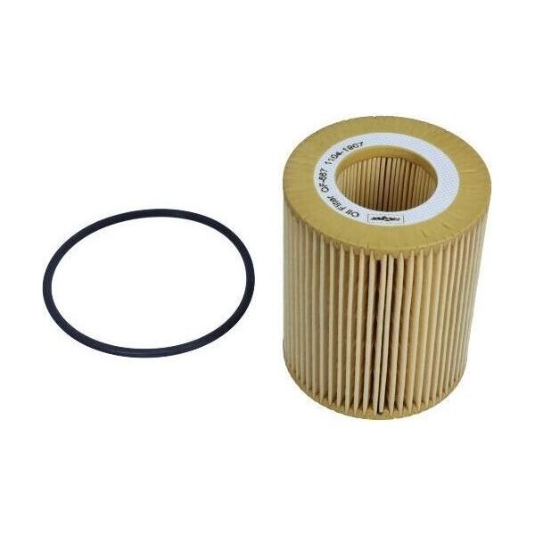 Maxgear 26-1517 - Filtro Olio Oe 1109 Av Per C5 Iii (Rd), C5 Iii (Rw), C6 (Td), Xf (X250), Xf (X260), Xj (X351), Discovery Iv (L319), Discovery V (L462), Range Rover Iv (L405), Range Rover Sport (L320), Range Rover Sport (L494), Range Rover Velar (L560), 407-image