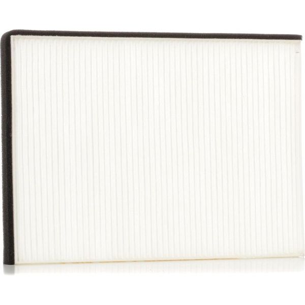 Stark SKIF-0170390 - Filtro Aria Abitacolo Oe 6447FG Per Xsara-image