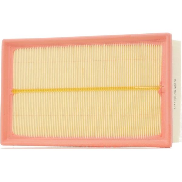 Stark SKAF-0060238 - Filtro Aria Oe 1444 Qp Per C4 (La), C4 G-Picasso I (Ua), C4 I (Lc), C4 Ii (Nc), C4 Picasso I (Ud), DS4, DS5, DS5 (Kf), 3008 (0U), 307, 307 Cc (3B), 307 Sw (3H), 308 Cc (4B), 308 I, 308 Sw I, 5008 I, Rcz-image