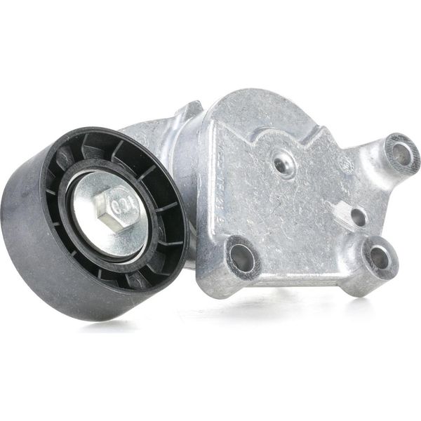 Snr GA359.19 Rullo Tenditore, Cinghia Trapezoidale Dentata Oe 5751F9 Compatibile Con Partner, Expert, 508, 5008, 4008, 308, 307, 301, 3008, 208, 207, 206, 2008, 1007, Clubman, Mini, DS4, DS3, C5, C4, C4Er, C3, C2, C-Elysee, Berlingo-image