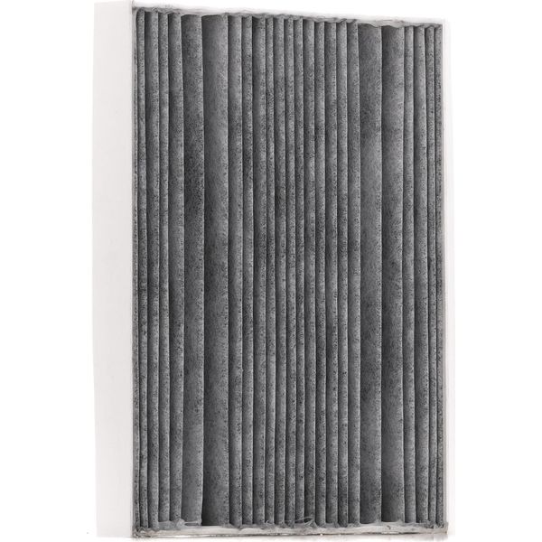 Stark SKIF-0170648 - Oe 447 830 00 00 Filtro Aria Abitacolo Per Sprinter (W907, W910), Sprinter (W907), Sprinter (W910), Classe V (W447), Vito (W447)-image