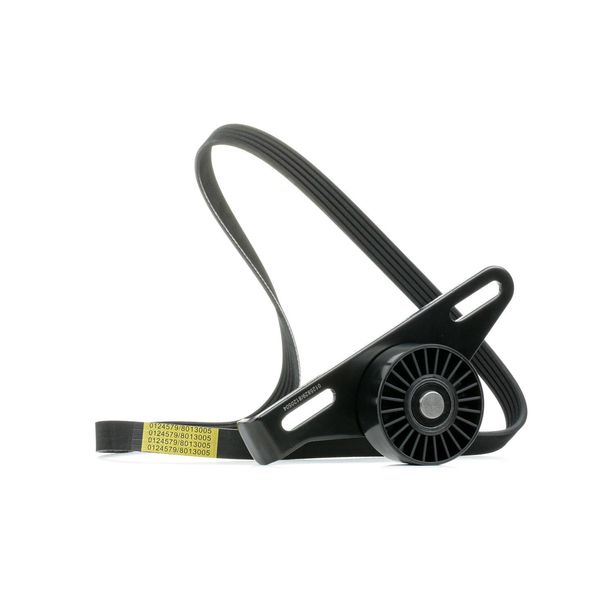 Stark SKRBS-1200137 - Kit Di Ricambio Oe 57170 38000 Per Logan, Sandero, Clio Ii, Kangoo (Kc), Kangoo (Fc), Laguna I, Laguna Ii, Logan I, Megane I, Megane Scenic, Sandero I (Bs), Scenic I, Thalia I (Lb), Thalia Ii (Lu)-image