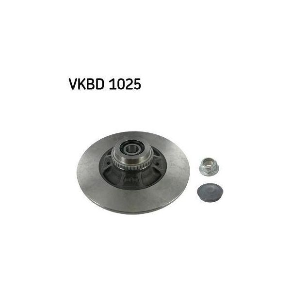 Skf Vkbd 1025 - Oe 77 01 204 901 Disco Freno Per Megane I, Clio Ii-image