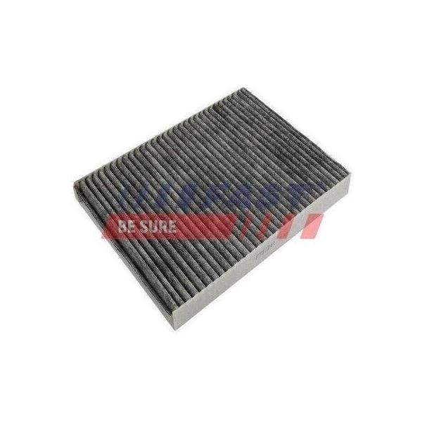 Fast FT37341 - Oe 6000620027 Filtro Abitacolo Per Talento, Vivaro (X82), Vivaro B (X82), Grand Scenic Iii (Jz), Scenic Iii, Trafic Iii (Jg), Trafic Iii (Fg), Trafic Iii (Eg)-image