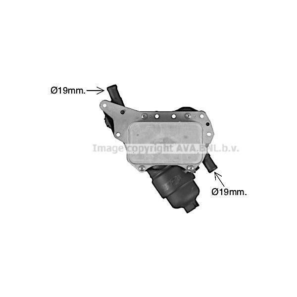Prasco RT3638H - Radiatore Olio Oe 6221800011 Per Talento, Vito (W447), Qashqai +2 I (J10), Qashqai Ii (J11), X-Trail (T32), Vivaro (X82), Vivaro B (X82), Espace V (Jr), Fluence (L3), Grand Scenic Iii (Jz), Grand Scenic Iv (R9), Kadjar (Ha, Hl), Koleos Ii (Hc), Megane Cc, Megane Iii, Megane Iv, Scenic Iii, Scenic Iv, Talisman-image