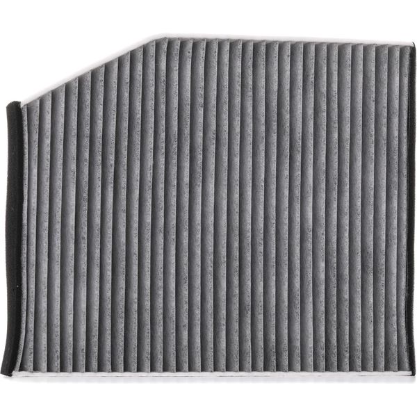 Stark SKIF-0170427 - Filtro Aria Abitacolo Oe 1839 688 Per Transit V363, Transit Custom, Tourneo Custom, Classe S (W222)-image