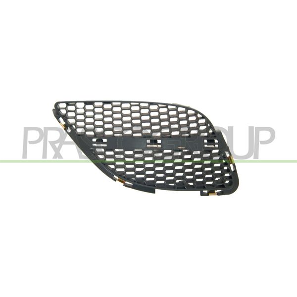 Prasco DS4242003 - Griglia Radiatore Oe 62320BN700, Destra Per Almera Ii (N16)-image