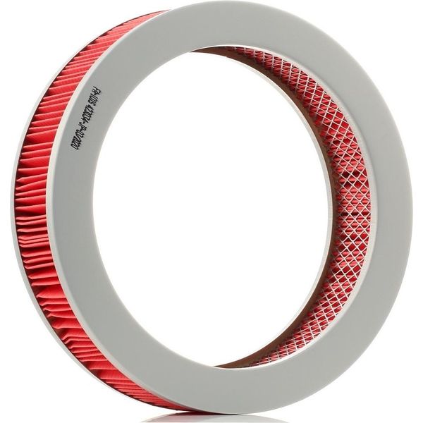 Japanparts FA-101S - Filtro Aria Oe 3I1004 Per Pick-Up (D21), Pick-Up (D22)-image