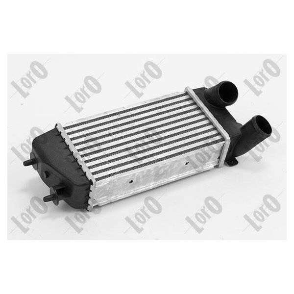 Abakus 009-018-0008 - Intercooler Oe 0384 G2 Per C2 (Jm), C3 I (Fc, Fn), C3 Pluriel (Hb), 1007 (Km)-image