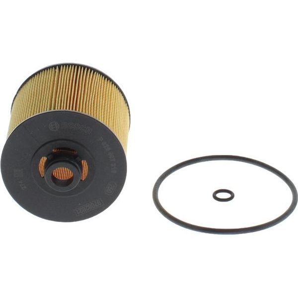 Bosch F 026 407 316 - Filtro Olio Oe 32257013 Per XC40 (536)-image