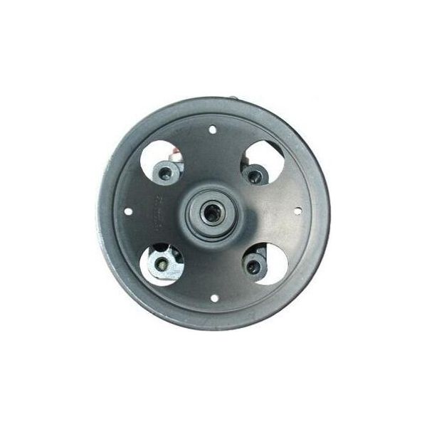 Spidan 54066 - Servopompa Oe 8251734 Per C70 I (872, 873), S70 (874), S80 I (184), V70 I (875, 876), V70 Ii (285), XC70 (295), XC90 I (275)-image