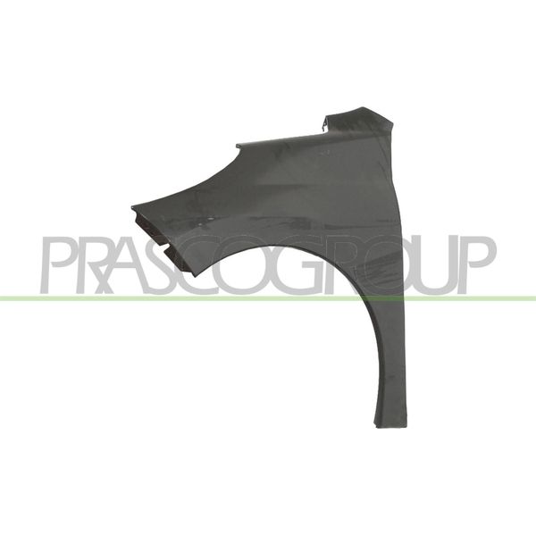 Prasco PG3203014 - Parafango Oe 7840R9, Anteriore Sinistro Per 207 (Wa, Wc), 207 Cc (Wd), 207 Sw (Wk)-image
