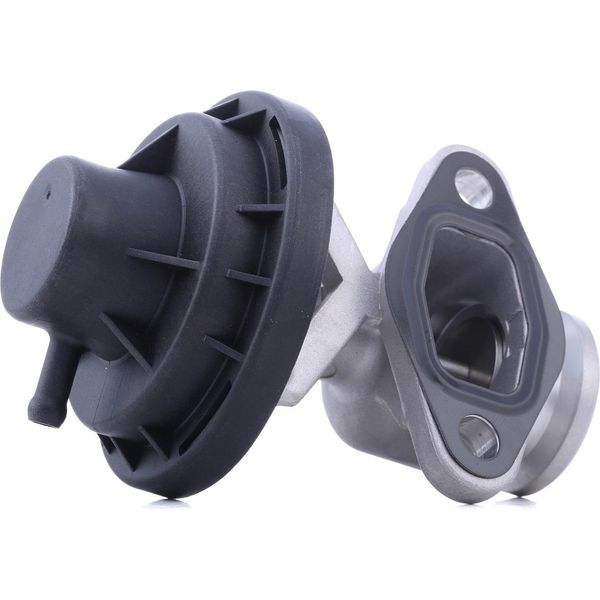 Ridex 1145E0156 - Oe 038131501 Agr-Ventil FüR Arosa (6H), Cordoba (6K), Cordoba (6L), Ibiza (6K), Ibiza (6L), Inca (6K), Leon (1M1), Toledo Ii (1M2), Fabia I (6Y), Octavia I (1U), Bora (1J), Caddy Ii (9K), Caddy Iii (2C, 2K), Golf Iv (1J), Lupo (6E1, 6X1), Polo (6N), Polo (9N), Polo (6V)-image