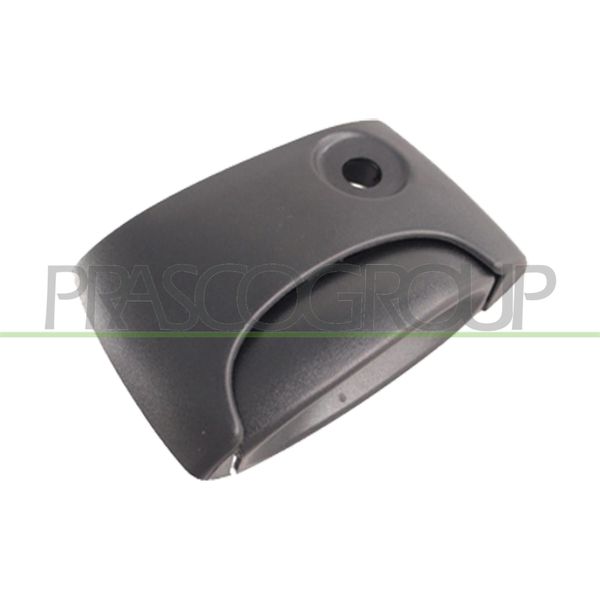 Prasco DS9178141 - Oe 7700303504 Maniglia Della Porta, Destra Per Kangoo (Fc), Kangoo (Kc)-image