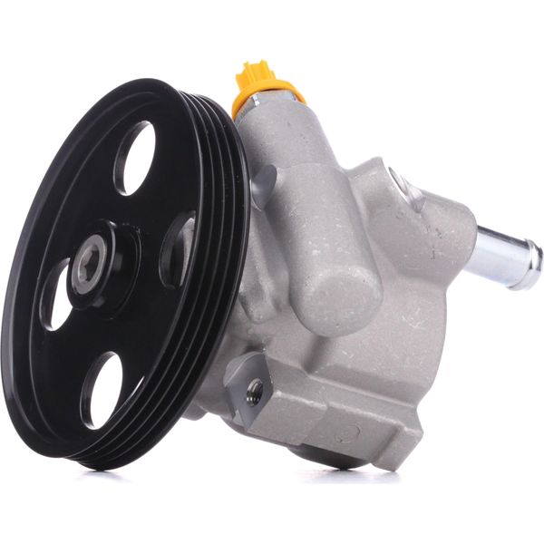 Stark SKHP-0540163 - Servo Pompa Oe 491100219R Per Sandero, Clio I, Clio Ii, Kangoo (Kc), Kangoo (Fc), Megane I, Megane Scenic-image